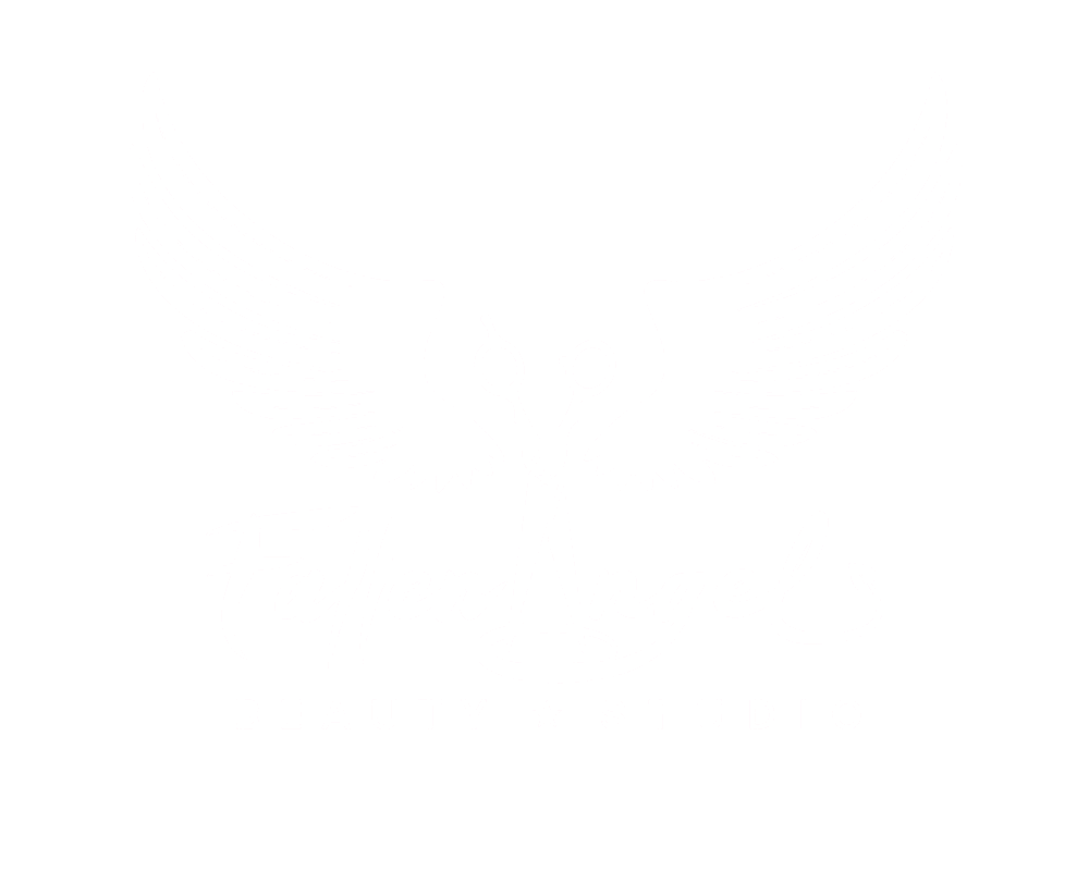 Fallen Angel studio pruhledna bila